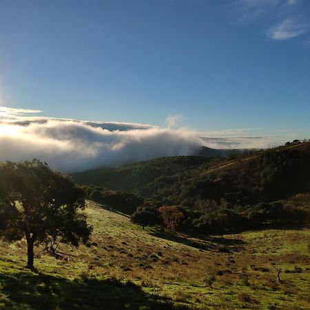 Casa Rural El Trepador Azul Cabeza la Vaca Dış mekan fotoğraf