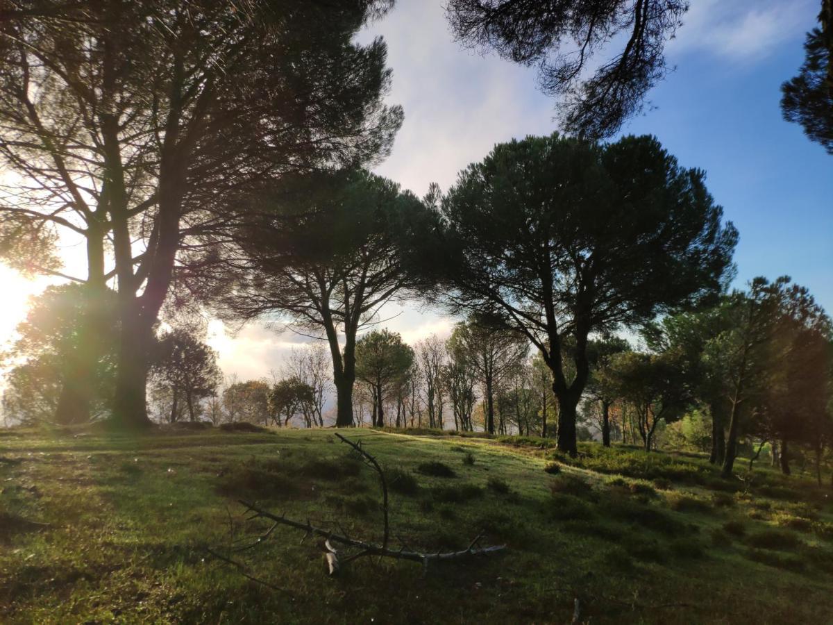 Casa Rural El Trepador Azul Cabeza la Vaca Dış mekan fotoğraf